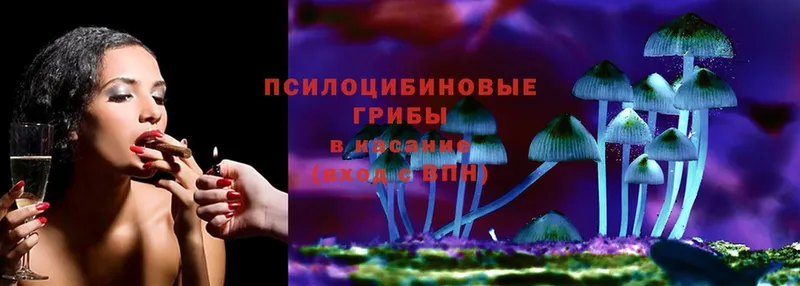 Галлюциногенные грибы Magic Shrooms  kraken вход  Козельск 